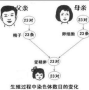 染色体1.76重复,国内科学家对大白菜的细胞进行哪些研究？