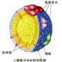 血清载脂蛋白1.85高吗,我 体检中，甘油三脂3.17，载脂蛋白B1.86，两项高于正常范围，是怎么回事啊，应该怎么办？