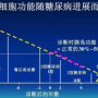 胰岛功能值1.85：揭示糖尿病风险与生活方式的密切关系