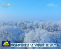 冰雪传奇点什么,冰雪传奇:冰天雪地中的壮丽叙事诗，窥视冬季的壮丽奇观