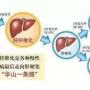 乙肝纤维蛋白原低1.76：探究原因与应对策略