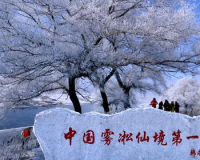 桂林冰雪传奇:迷人的冬季奇观，宛如仙境!